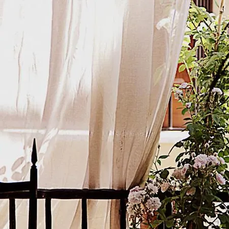 Bed & Breakfast Spazio Alloro Palermo