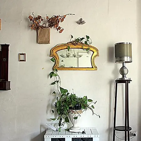 Bed & Breakfast Spazio Alloro