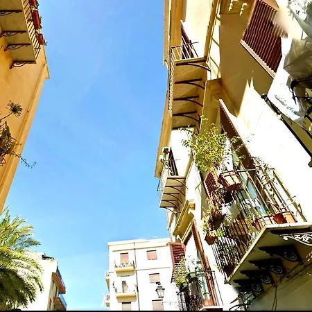 Spazio Alloro *